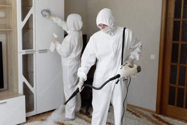 Best Industrial Mold Remediation in Bridgeport, CT